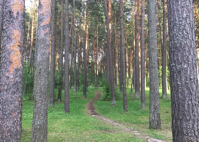 Pirita Apartments&spa